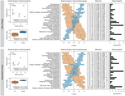 Long-term mitigation of drought changes the functional potential and life-strategies of the forest soil microbiome involved in organic matter decomposition